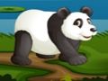 Gioco Panda di calcio  in linea