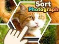 Gioco Ordina fotografia  in linea