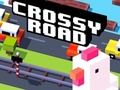 Gioco Maestro della strada trasversale  in linea
