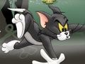 Gioco Tom e Jerry Chase in Marsh  in linea