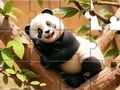 Gioco Puzzle: Panda sull'albero  in linea