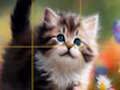 Gioco Puzzle Gattini Scorrevoli  in linea