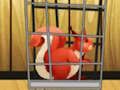 Gioco Salva lo scoiattolo rosso dalla gabbia  in linea
