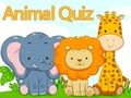 Gioco Quale animale hai sentito?  in linea