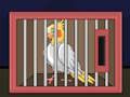 Gioco Libera l'uccello calopsitta  in linea