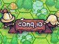 Gioco Conq. io  in linea