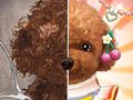 Gioco Maestro del trucco per animali domestici  in linea