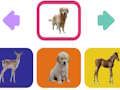 Gioco Cuccioli di animali  in linea