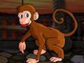 Gioco Piccola fuga di macachi  in linea