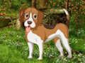 Gioco Fuga per cani da giardino fiorito  in linea