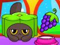 Gioco Cosmo Pet Starry Care in linea