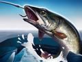 Gioco Pesca sul ghiaccio 3D  in linea
