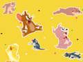 Gioco Lo spettacolo di Tom e Jerry Trovalo!  in linea