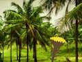 Gioco Fuga dalla terra del cocco  in linea
