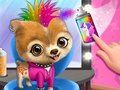 Gioco Parrucchiere per animali Rock Star  in linea