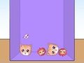 Gioco Evoluzione dei meme sui gatti  in linea