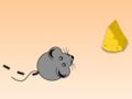 Gioco MouseCorri!  in linea