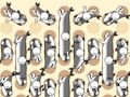 Gioco Raccolta del pesce  in linea