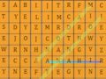 Gioco Ricerca di parole html5  in linea