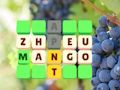 Gioco Diapositiva di parole  in linea
