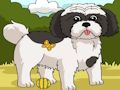 Gioco I cani individuano le differenze, parte 2  in linea