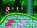 Gioco Mighty e Ray in Sonic 2  in linea