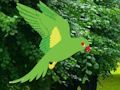 Gioco Il pappagallo trova il nido  in linea