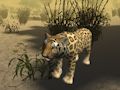 Gioco Simulatore di caccia al ghepardo africano  in linea