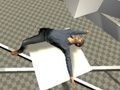 Gioco Prova Ragdoll  in linea