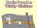 Gioco Puzzle del cervello: scelte complicate  in linea