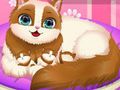Gioco Gattino carino incinta  in linea