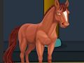 Gioco Salva il cavallo dal forte  in linea