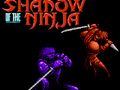 Gioco L'ombra del Ninja  in linea