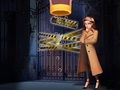 Gioco Il detective degli spilli  in linea