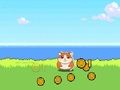 Gioco Clicker per criceti Kombat  in linea