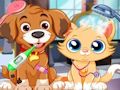 Gioco Cura veterinaria per cuccioli  in linea