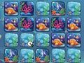 Gioco Sfida dei colori della barriera corallina  in linea