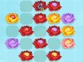 Gioco Fiore Match-3  in linea