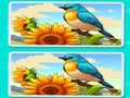Gioco Trova la differenza Il giardino  in linea