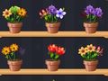Gioco Buon Maestro dei Fiori  in linea