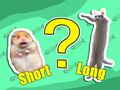 Gioco Quiz per bambini: il più breve e il più lungo  in linea