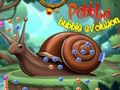 Gioco Evoluzione delle bolle di ciottoli  in linea
