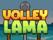Gioco Pallavolo Lama  in linea