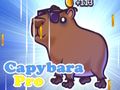 Gioco Capibara Pro  in linea