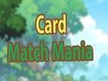 Gioco Mania delle partite di carte  in linea