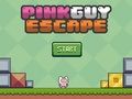 Gioco Fuga del ragazzo rosa  in linea