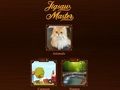 Gioco Maestro del puzzle  in linea