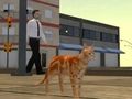Gioco Simulatore di città per gatti  in linea