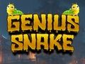 Gioco Serpente geniale  in linea