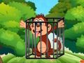 Gioco Libera la scimmia prigioniera  in linea